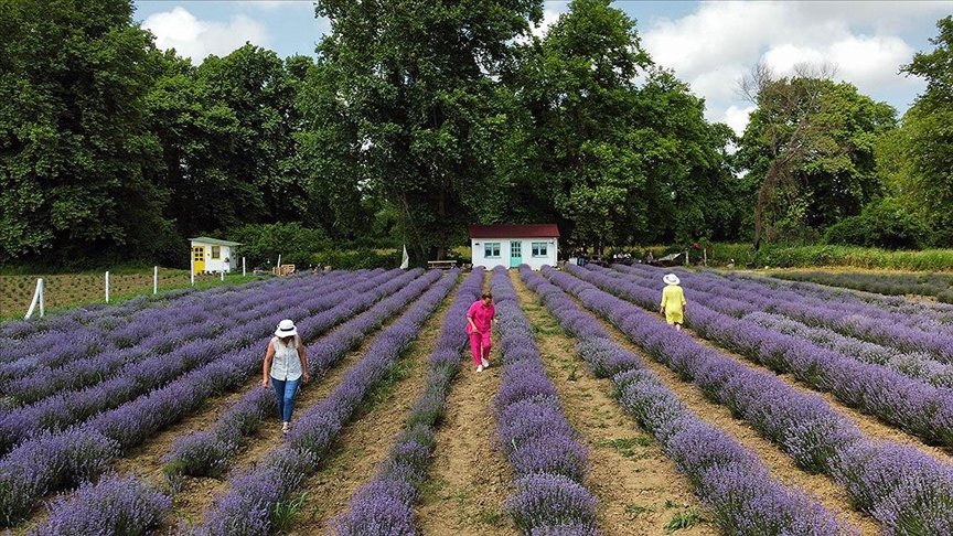 White Rock Turkey - Friendly Tours & Travel